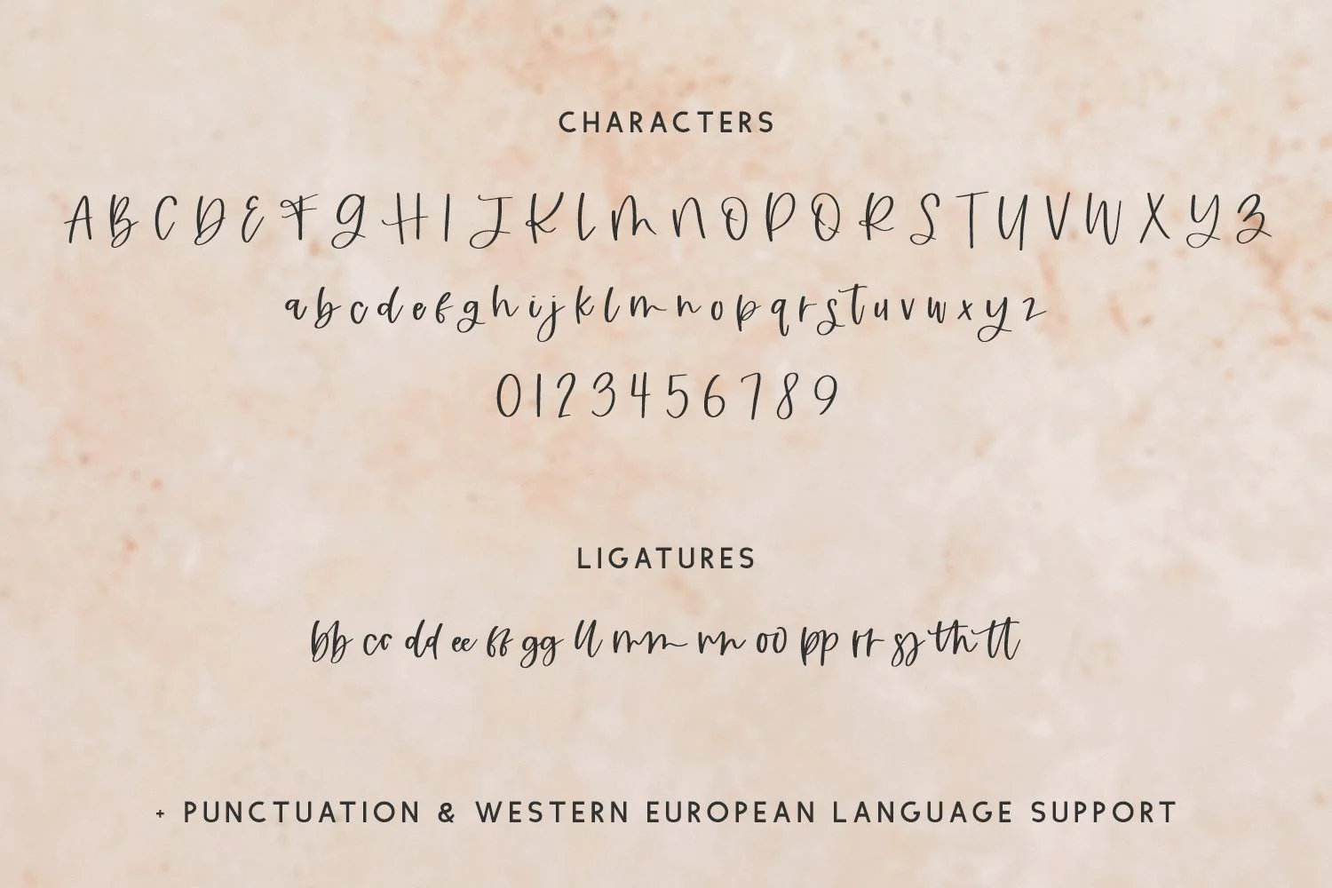 Accessory Script - Image 9