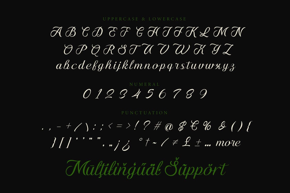 Adhun Mage - Script Font - Image 9