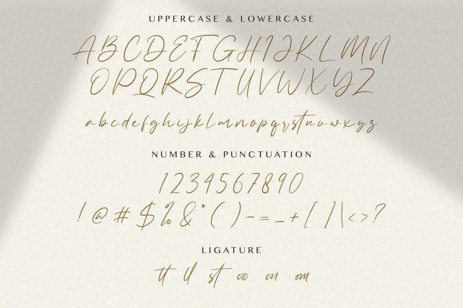 Allezia Sttacy - Handwritten Font - Image 8