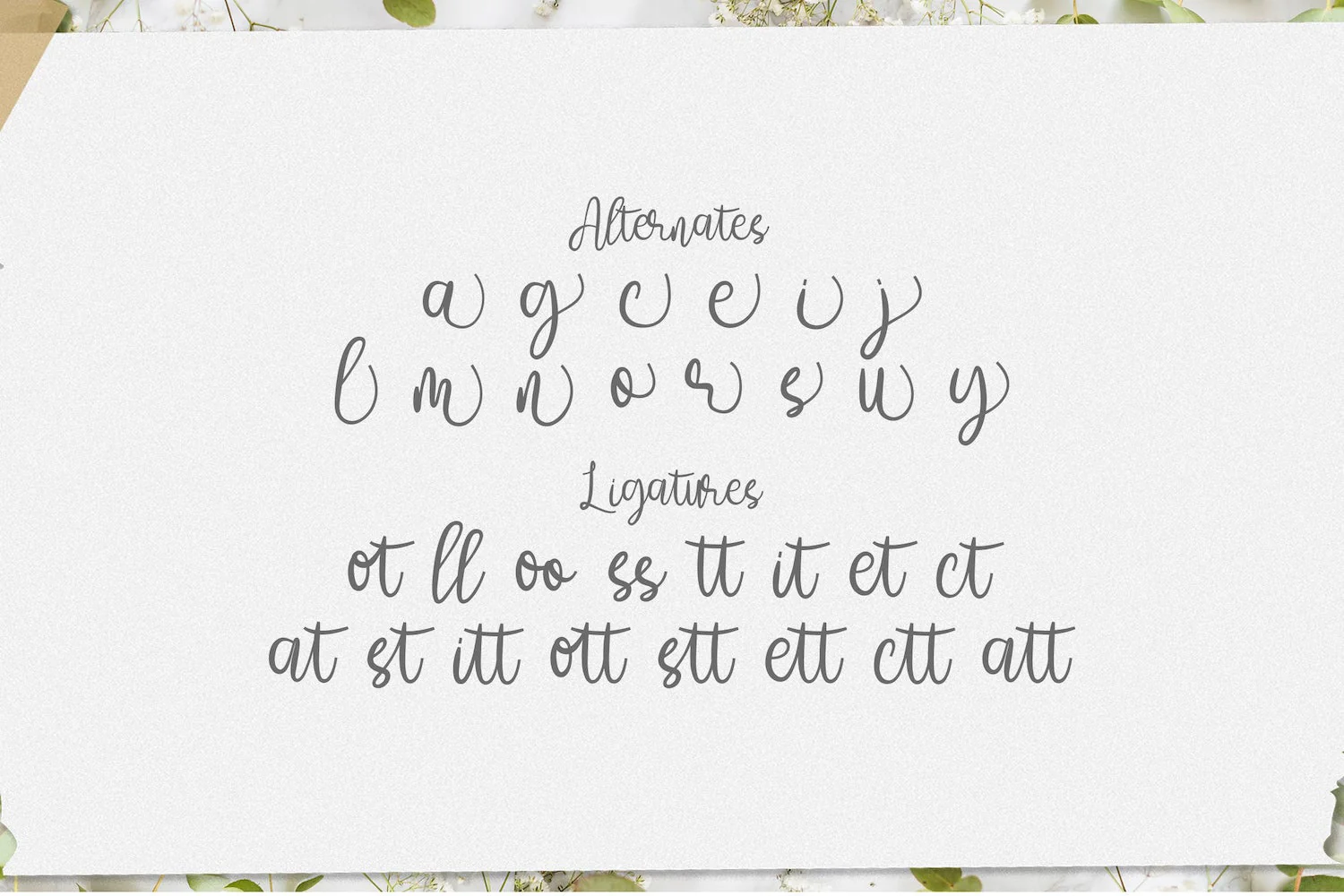 Amelia Sani - Handwritten Font - Image 10