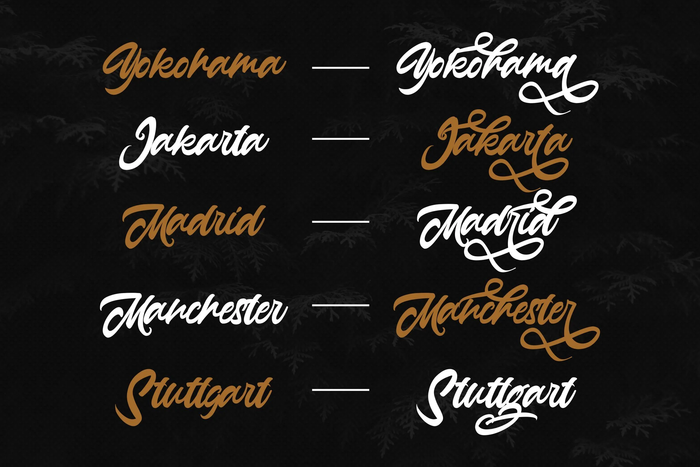 Anasite Malela - Bold Script Font - Image 11