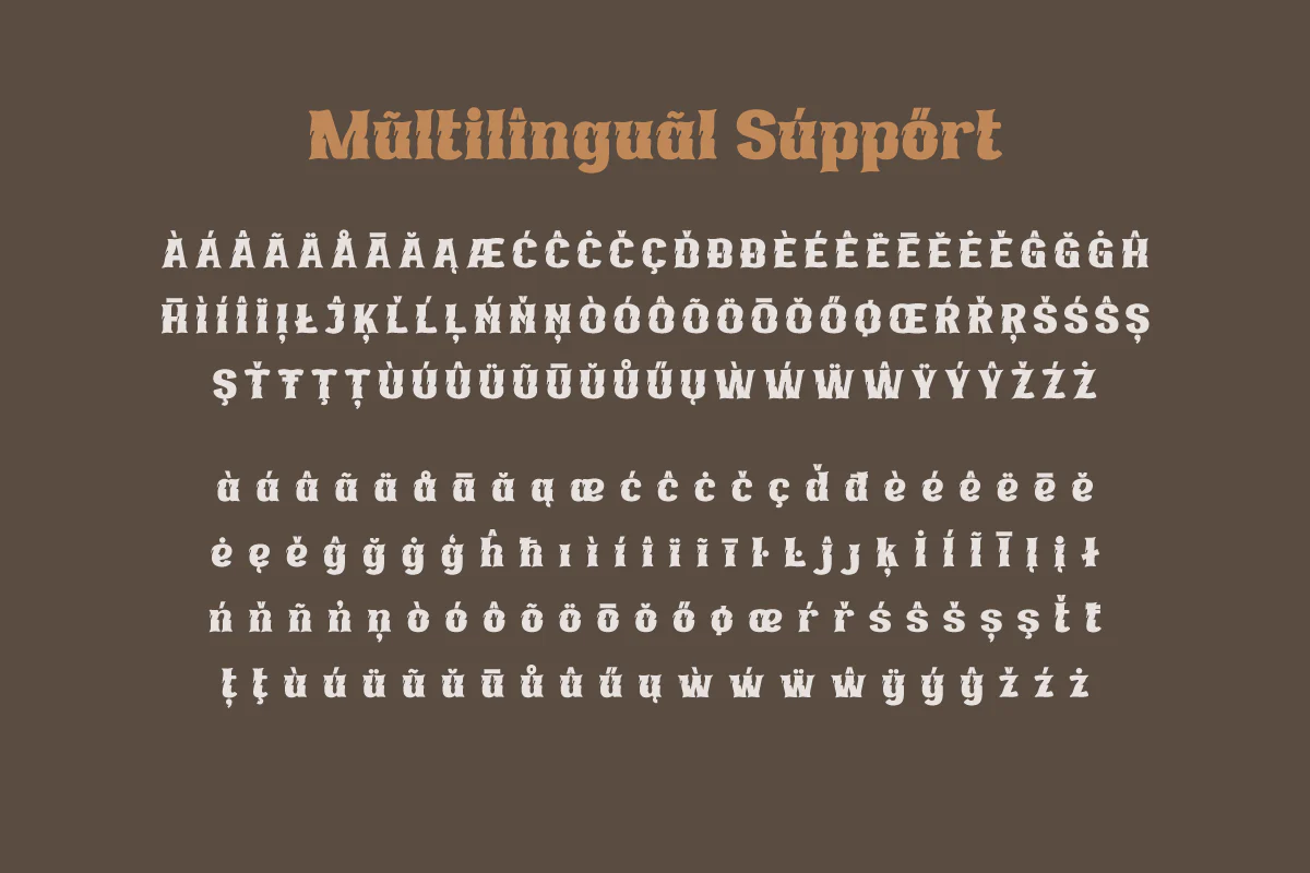 Anbenduk | Serif Classic Modernism - Image 10