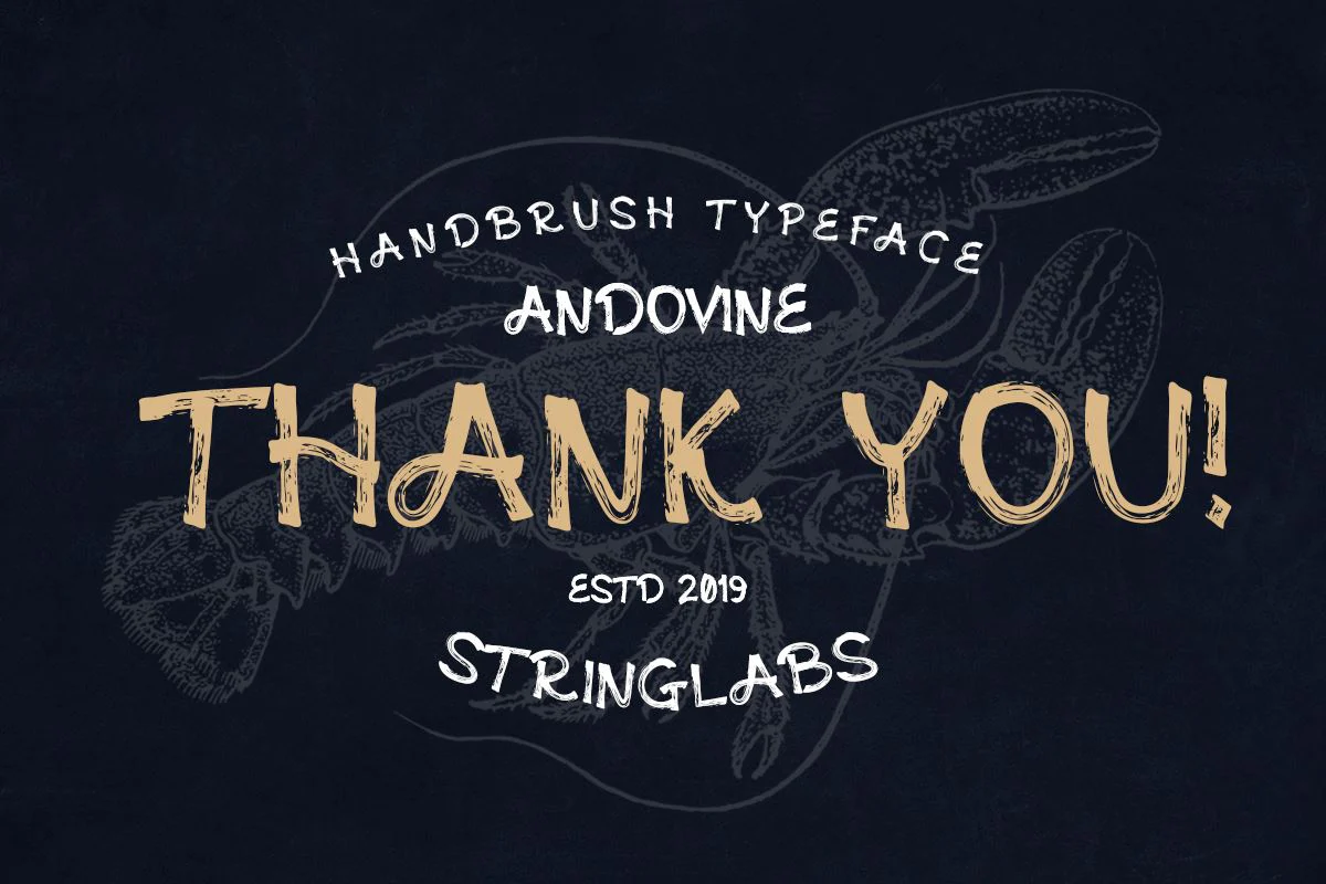 Andovine - Handbrush Typeface - Image 9