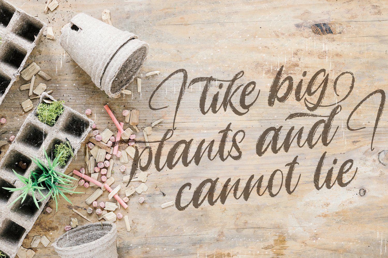 Angelicy - Textured Brush Font - Image 7