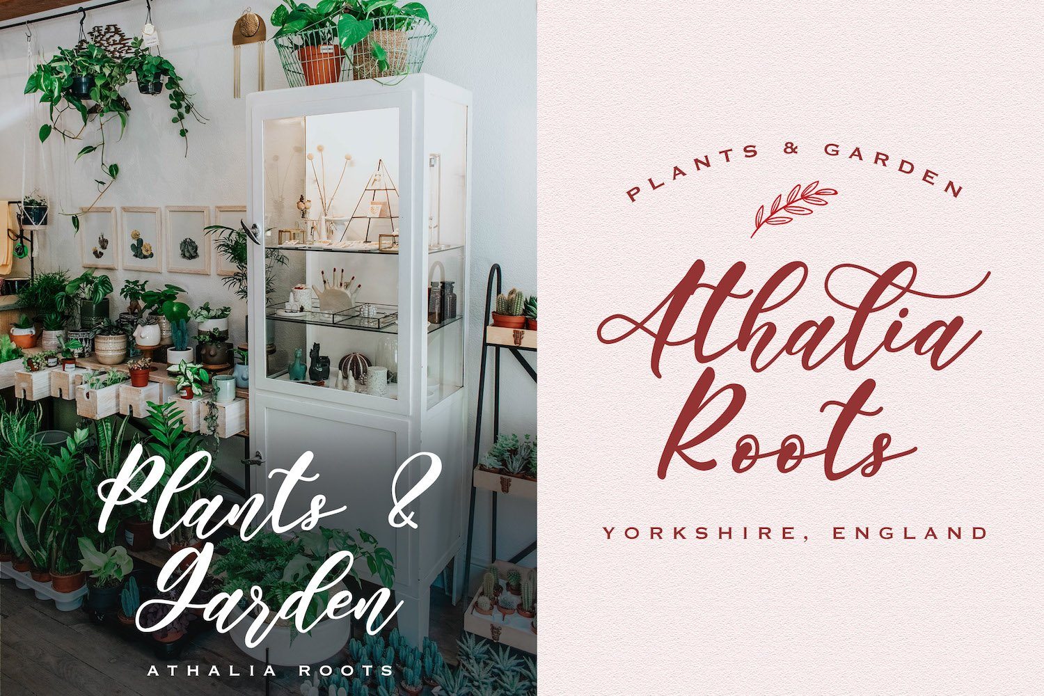 Angelina Rahmy - Modern Script Font - Image 6