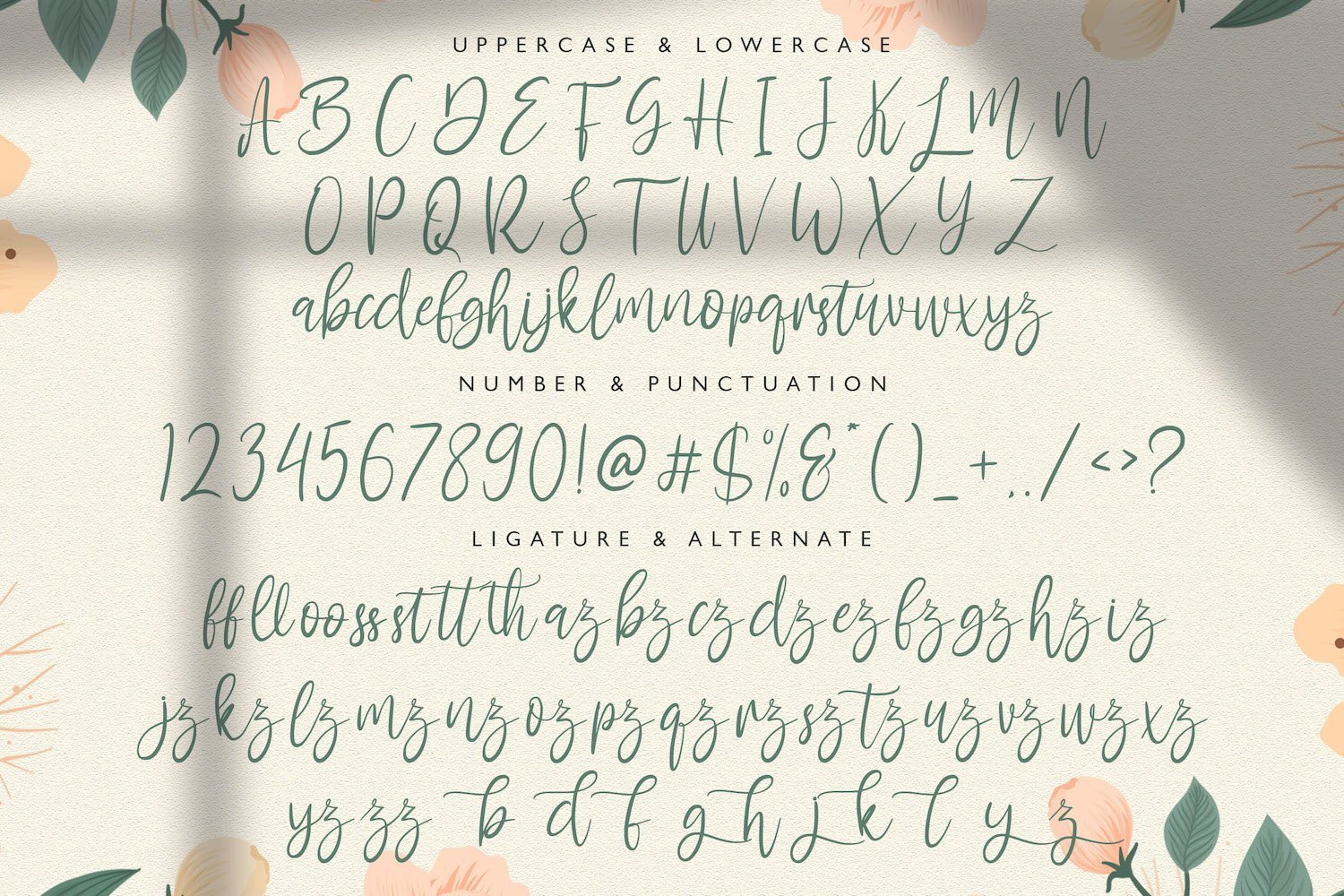 Antemy - Modern Script Font - Image 9