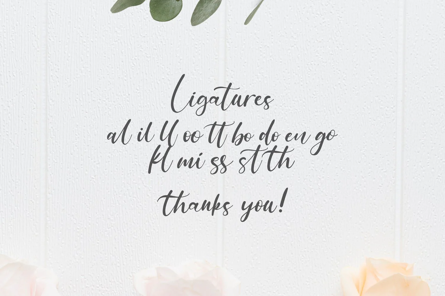 Anythings - Modern Calligraphy Font - Image 15