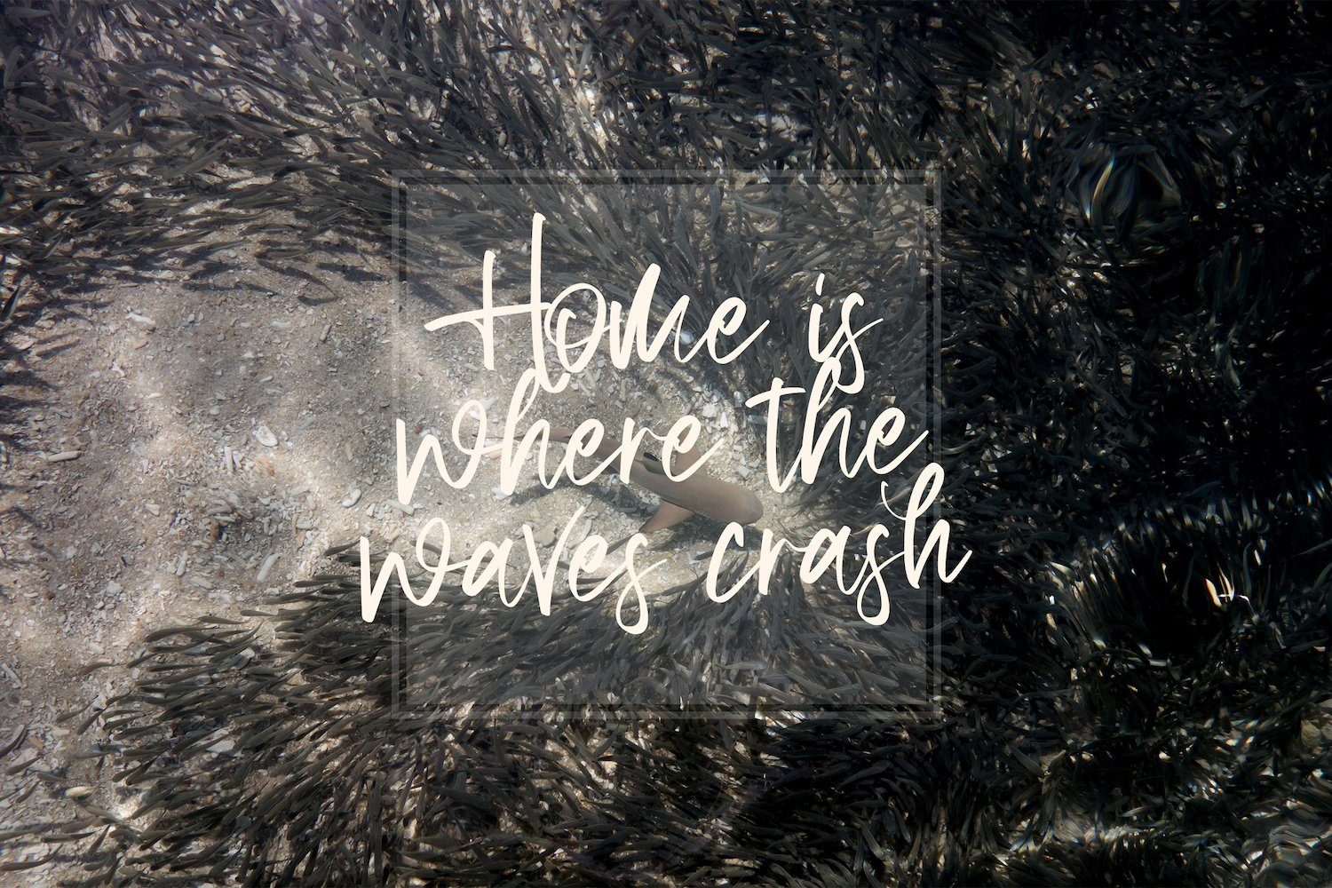 Aquilla - Brush Script Font - Image 10