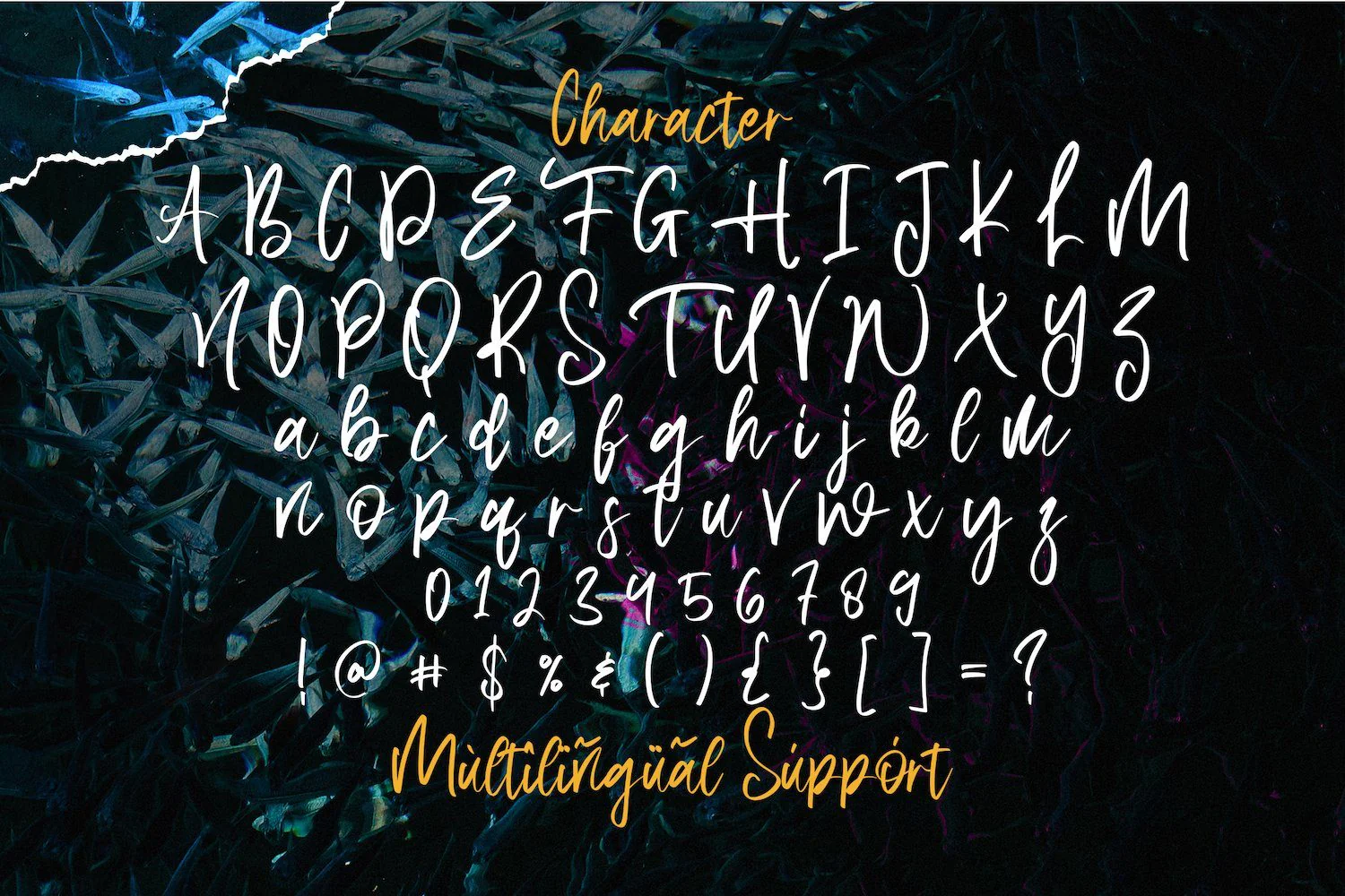 Aquilla - Brush Script Font - Image 14