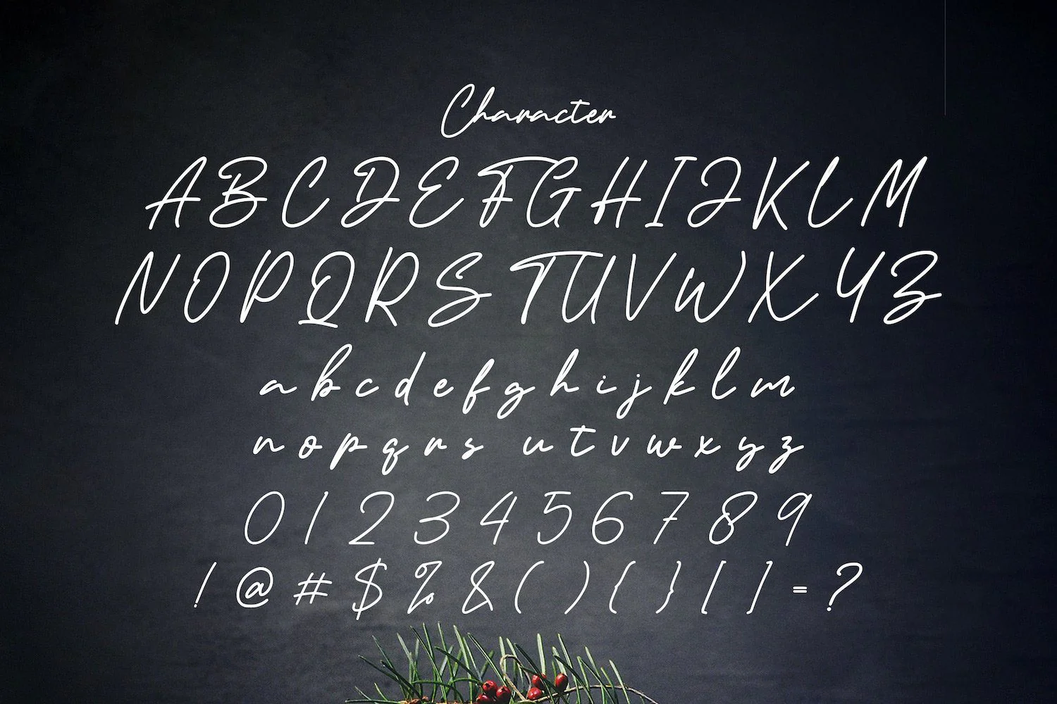 Artemay Bright - Signature Script Font - Image 9
