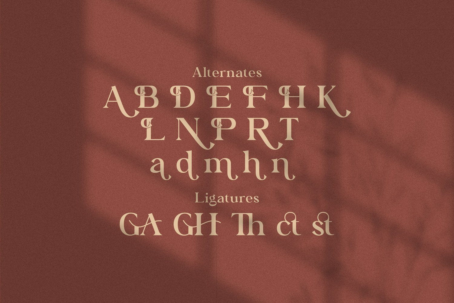 Bagator - Classic Serif Font - Image 10