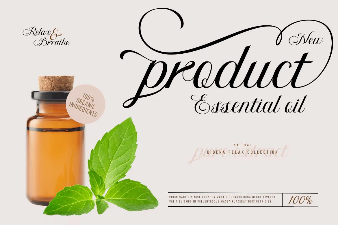 Bidena | Script Font - Image 8