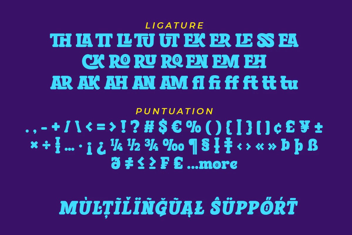 Bleqcki - Serif Display - Image 9
