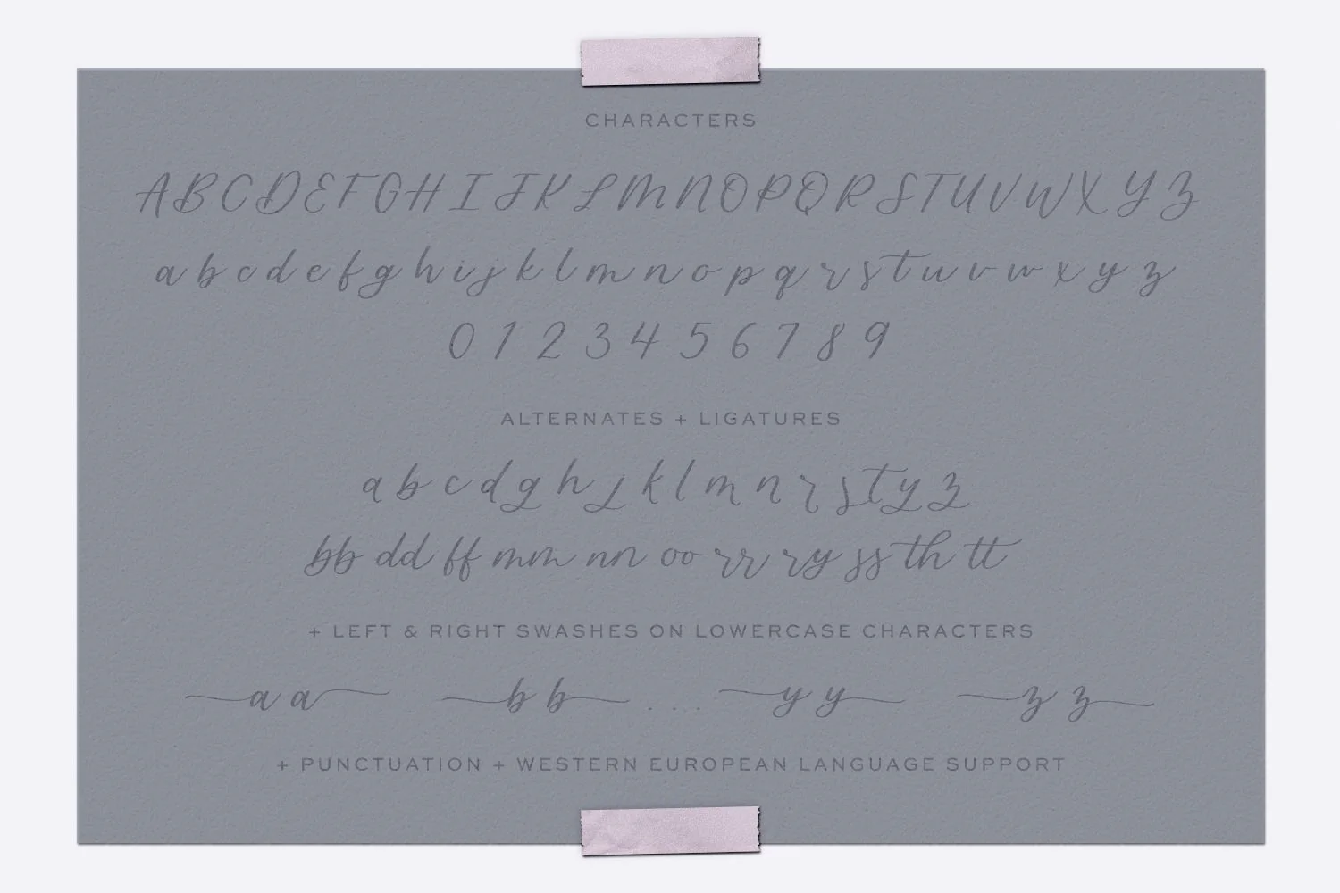 Blossomberry Script Font with Swashes - Image 10