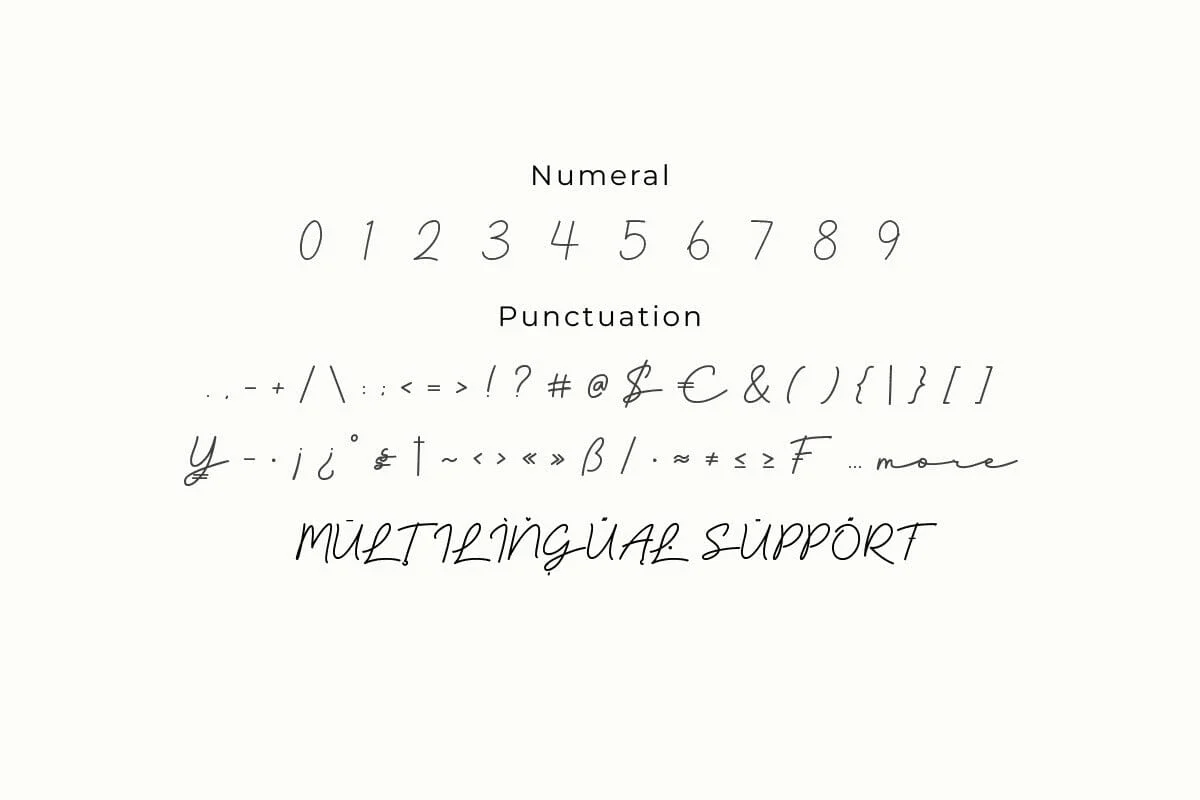 Bountelan - Script Monoline Font - Image 2