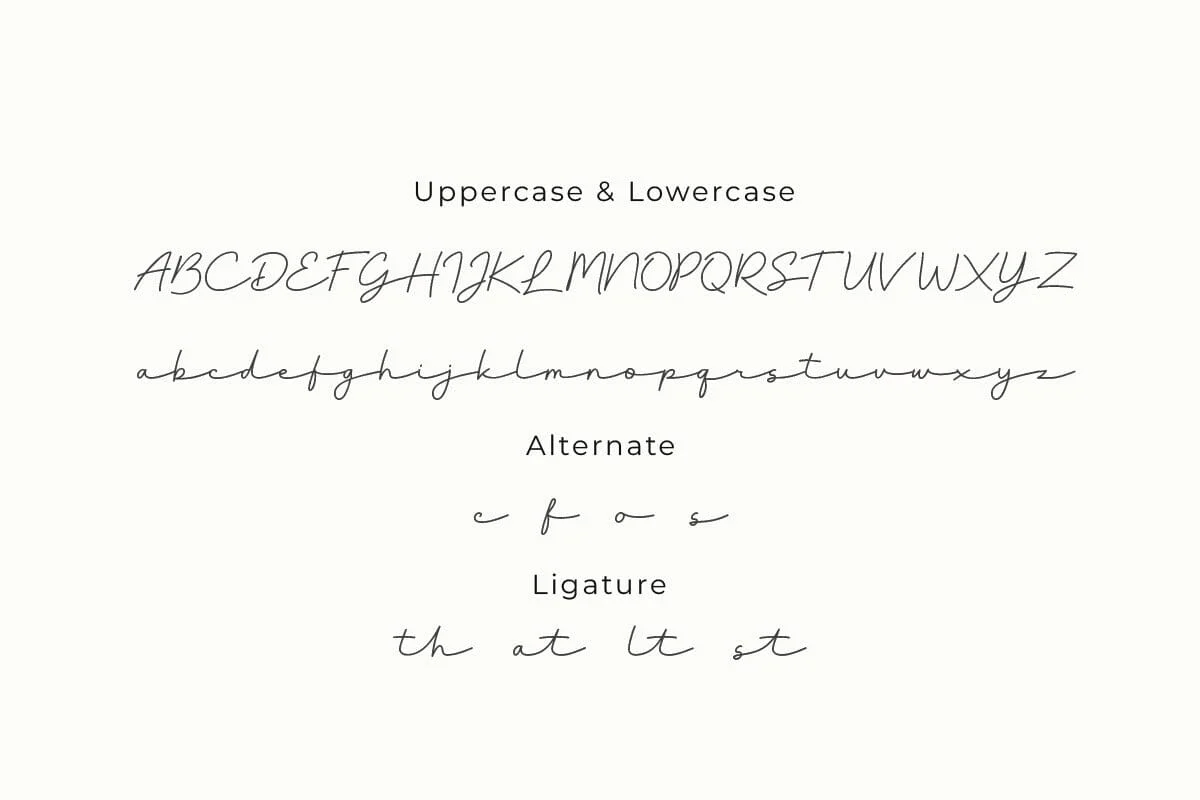 Bountelan - Script Monoline Font - Image 3