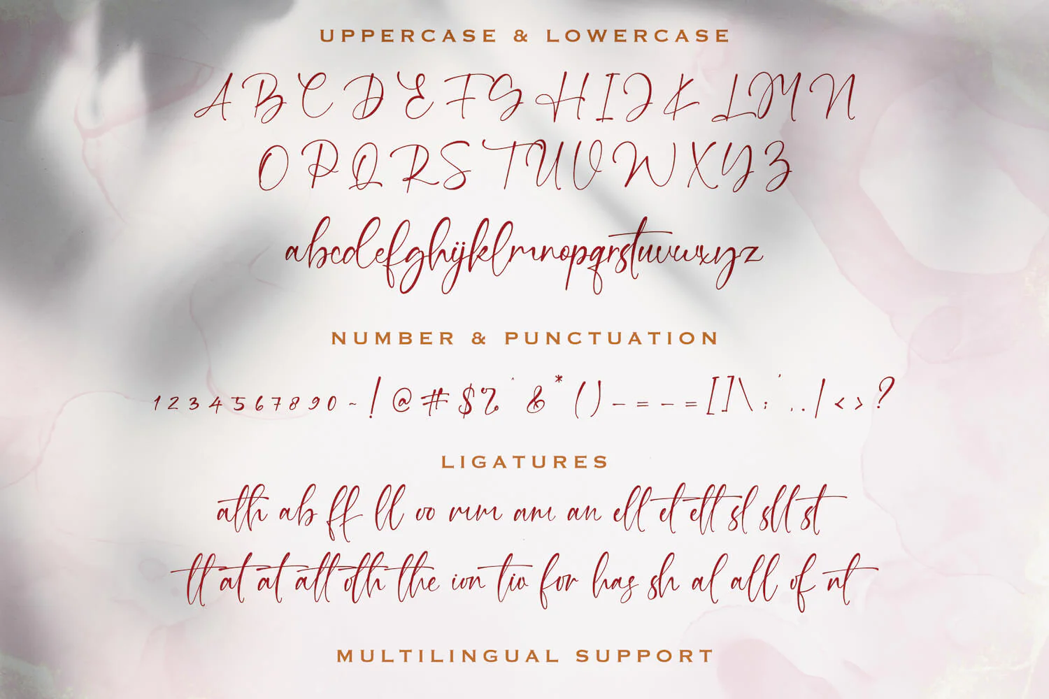 Bung Virgi - Signature Script Font - Image 9