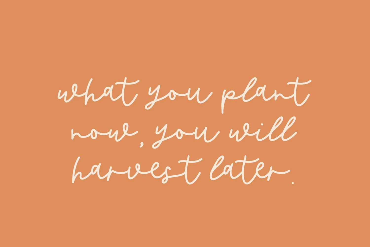 Butternut Script Font - Image 3