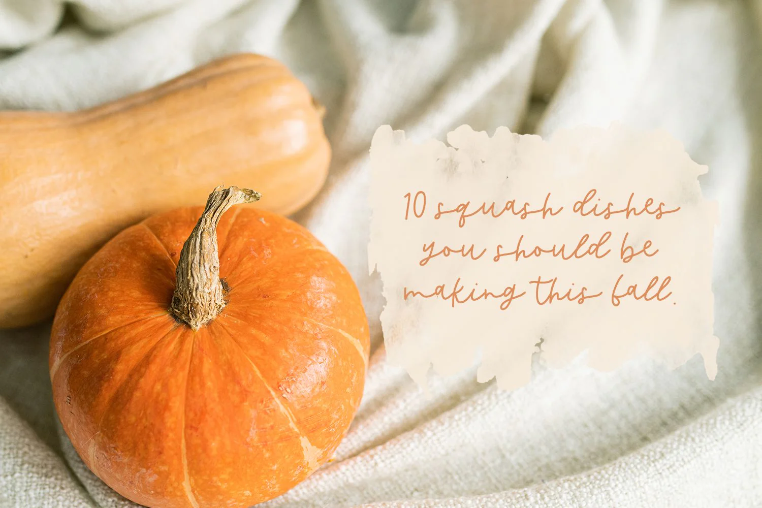 Butternut Script Font - Image 4