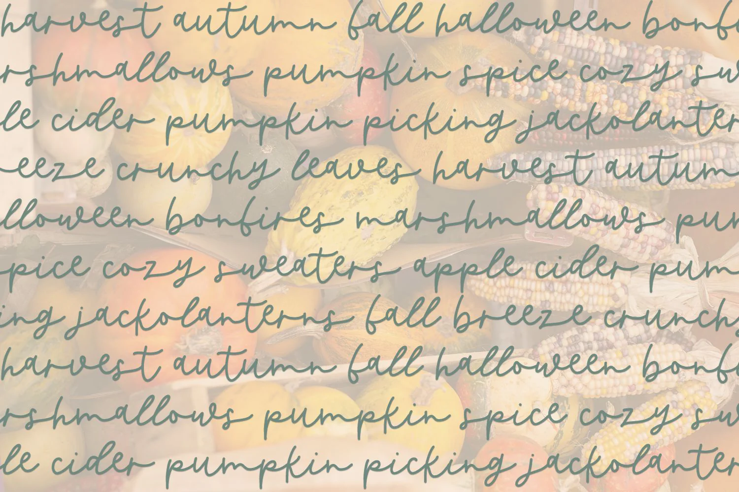 Butternut Script Font - Image 7