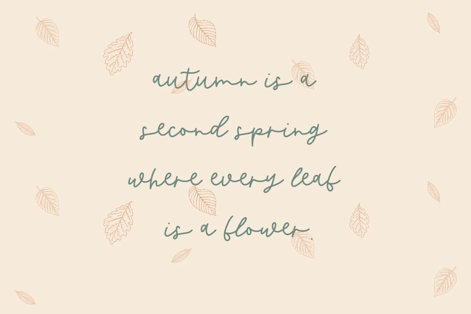 Butternut Script Font - Image 8