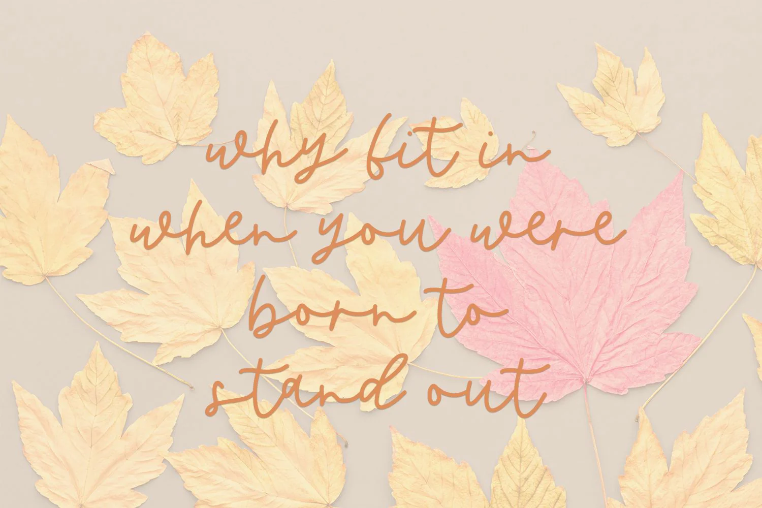 Butternut Script Font - Image 9