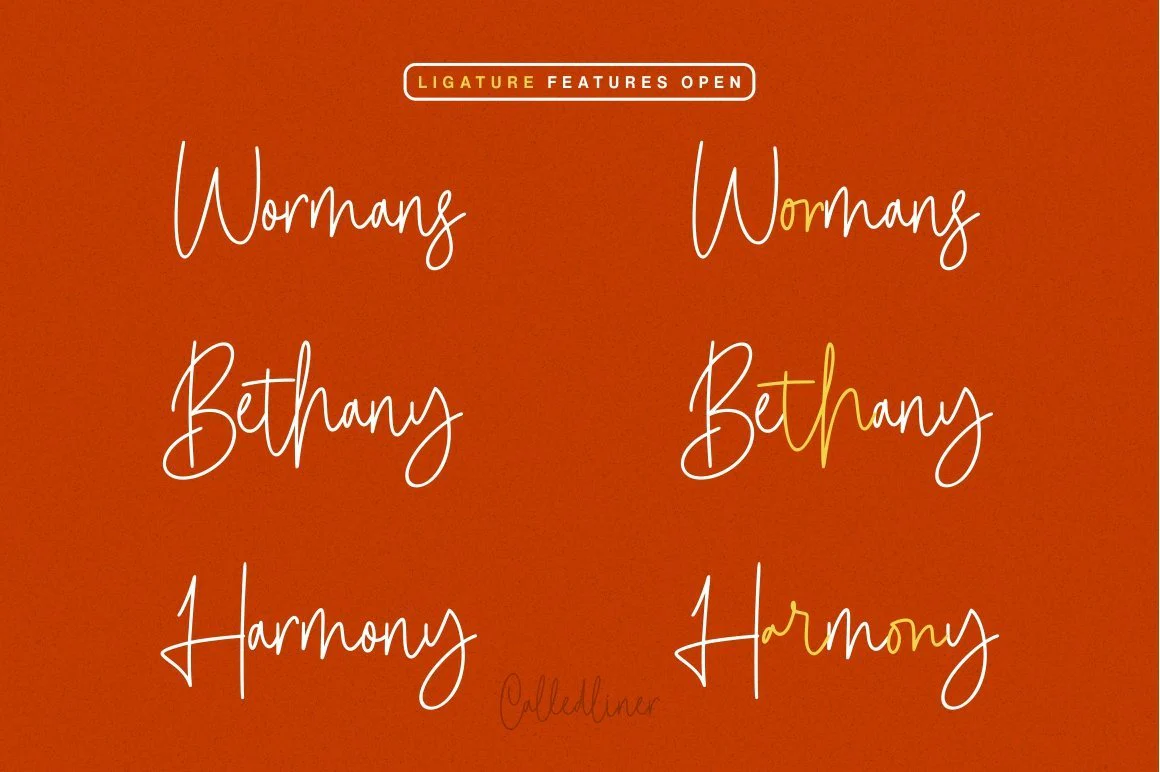 Calledliner - Monoscript Font - Image 7