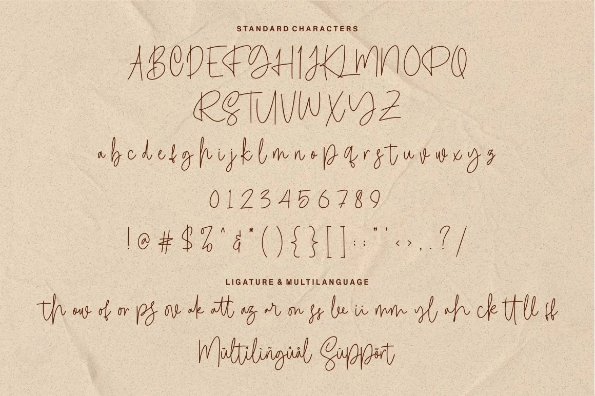 Calledliner - Monoscript Font - Image 8