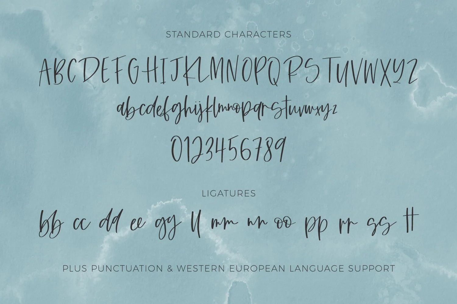 Caravanner Script Font - Image 10