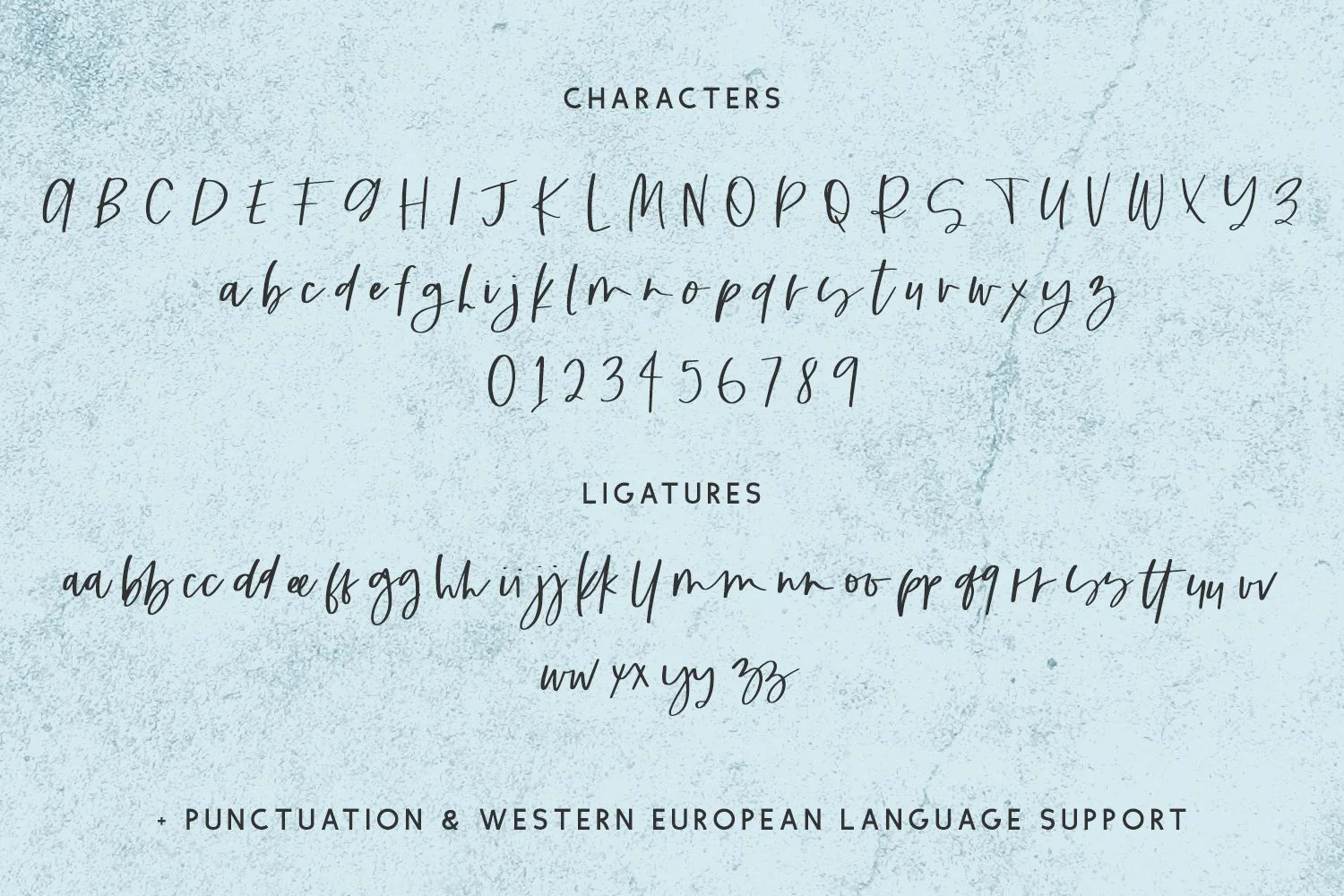 Clarke Script - Image 10