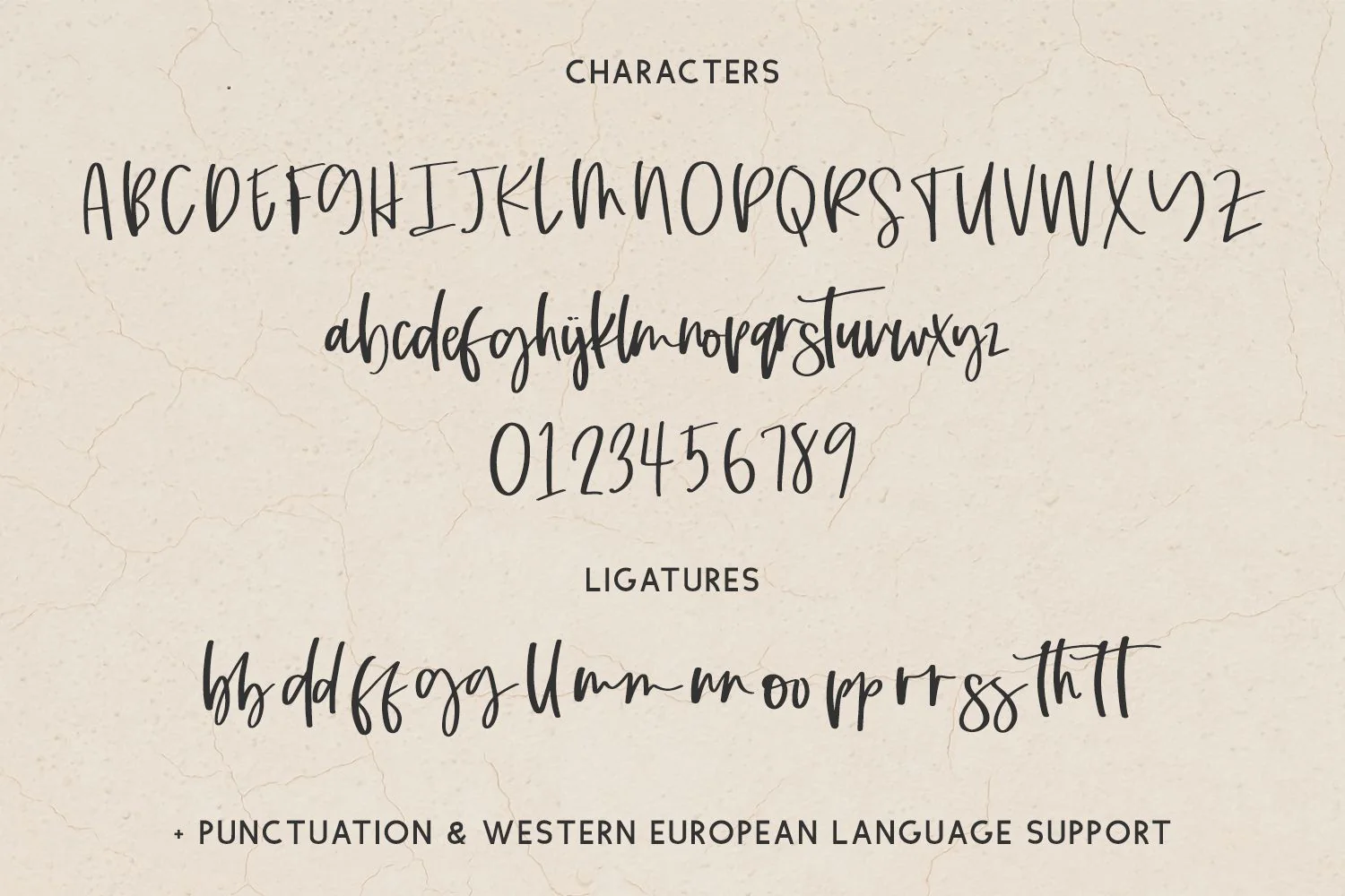 Dashwood Script Font - Image 10