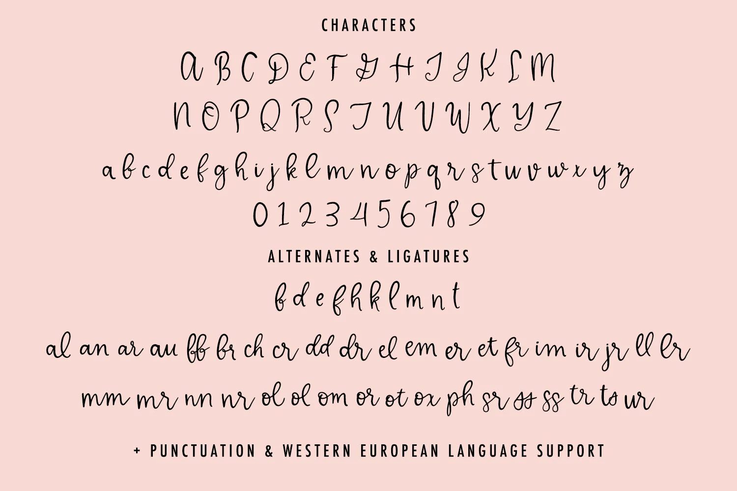 Delicate Whimsy Script - Image 10