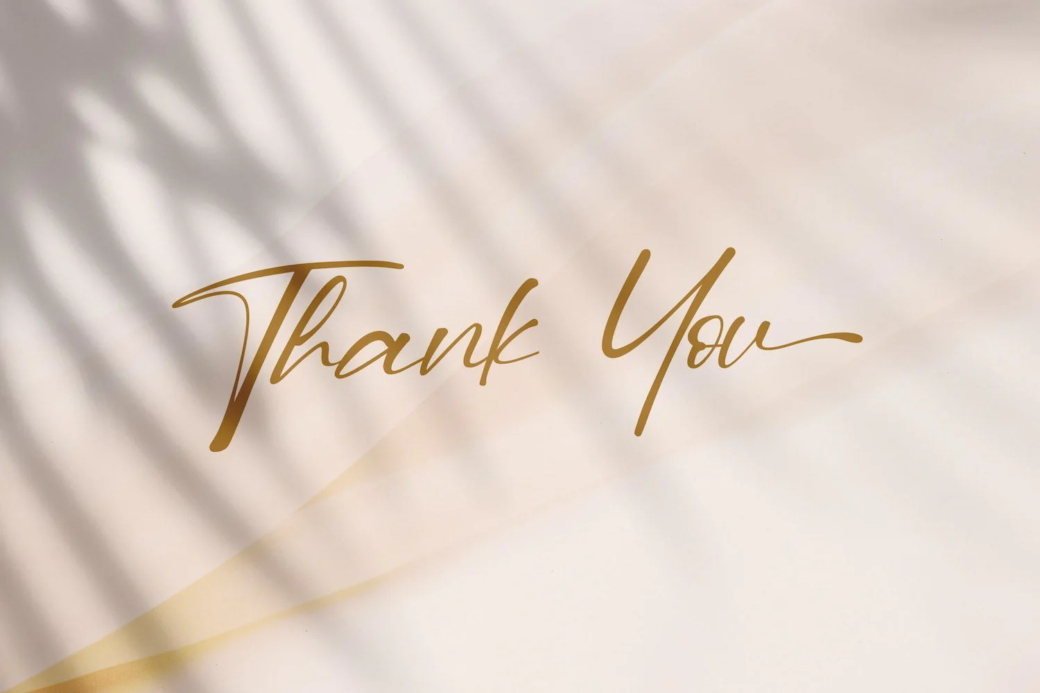 Dilan Script - Handwritten Font - Image 10