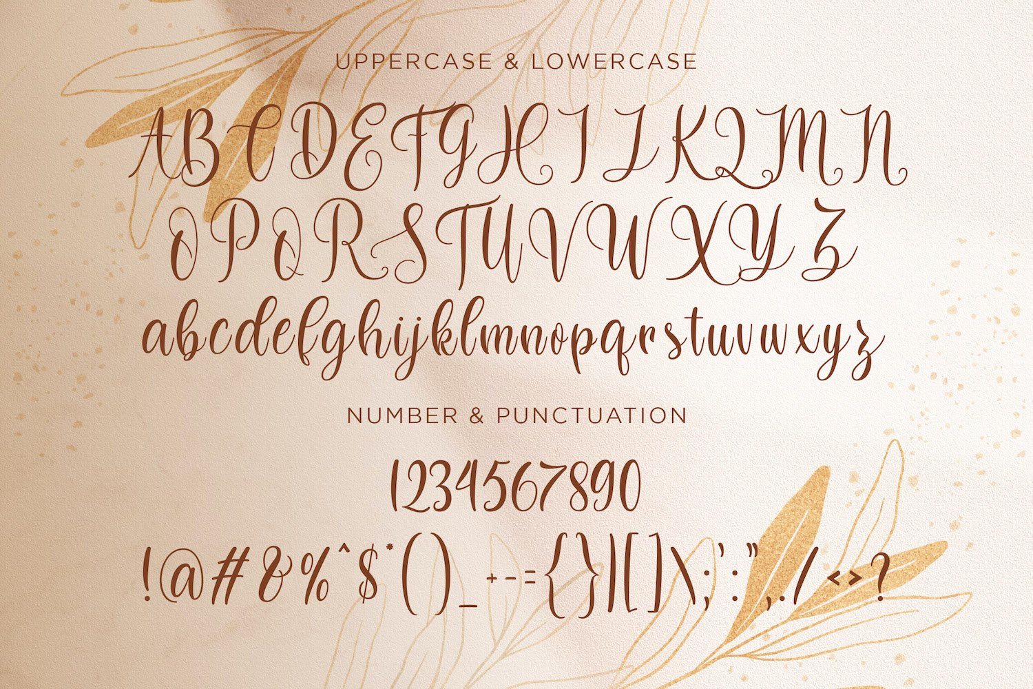 Dilan Whemsy - Modern Script Font - Image 13
