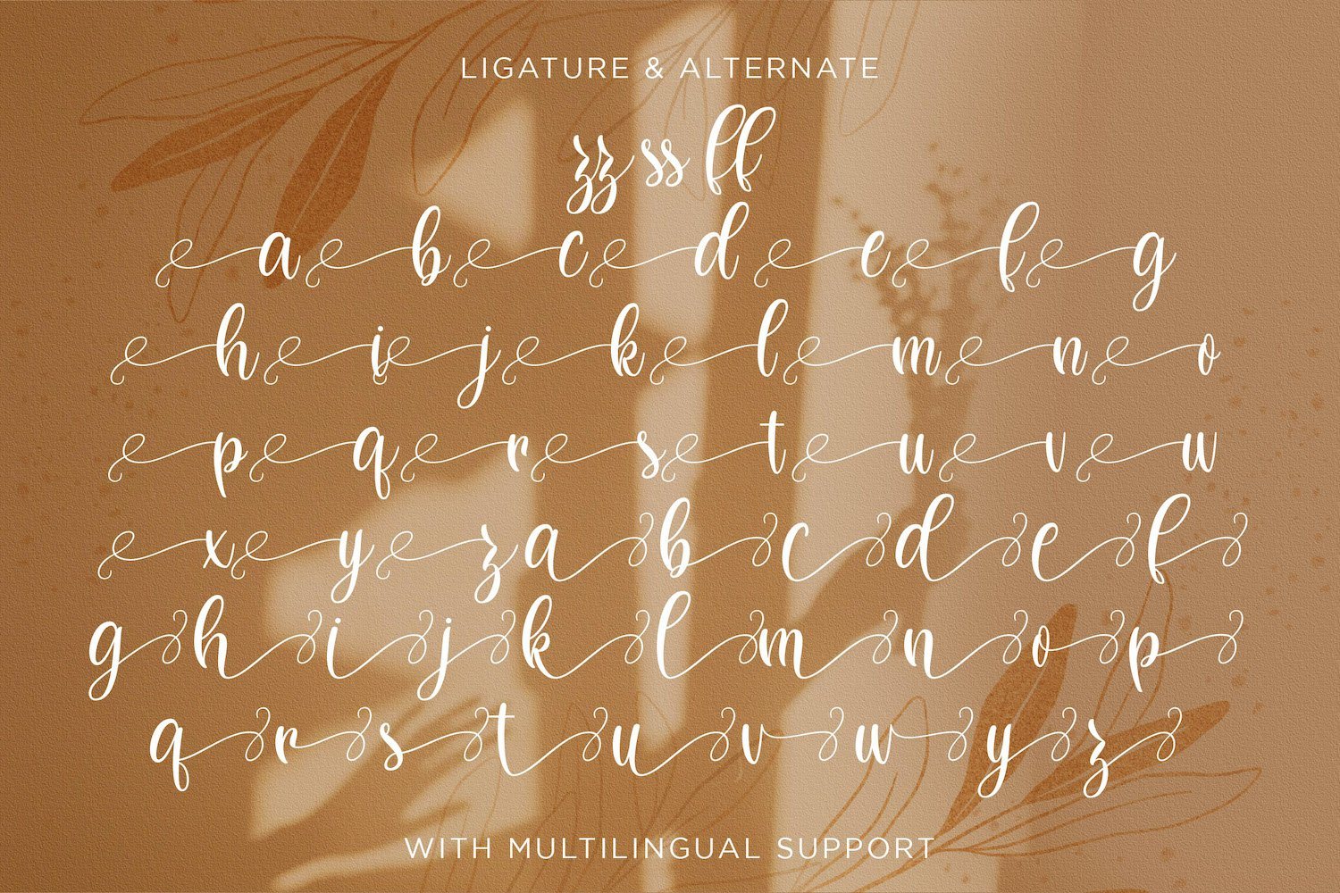 Dilan Whemsy - Modern Script Font - Image 14
