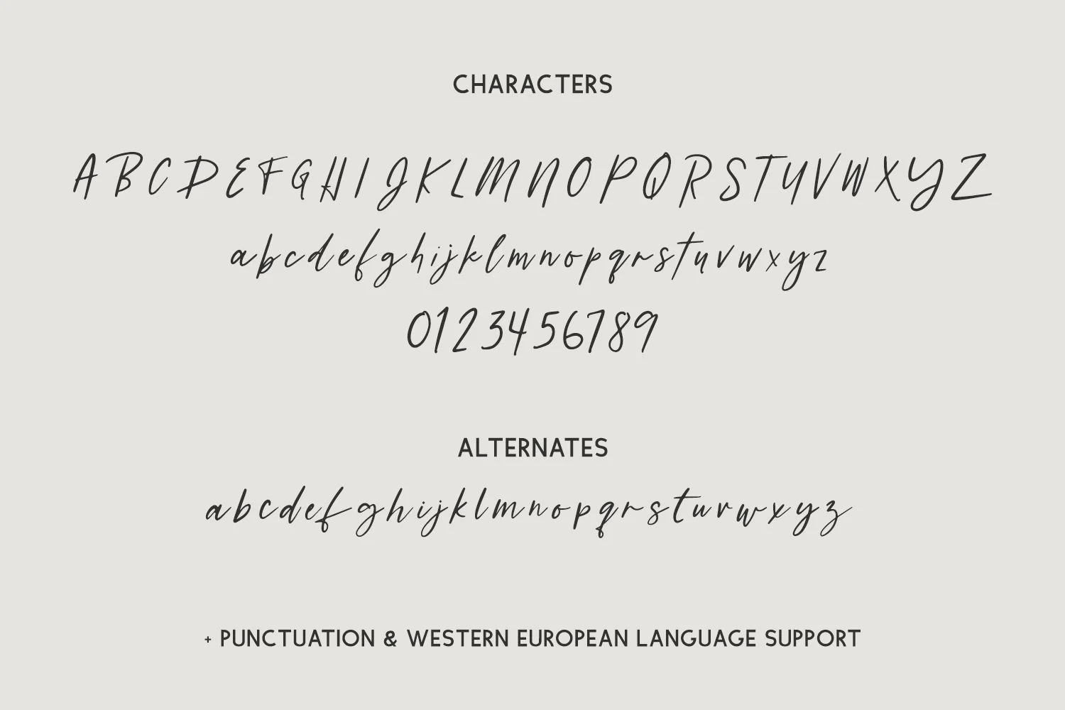 Distillery Script - Image 10