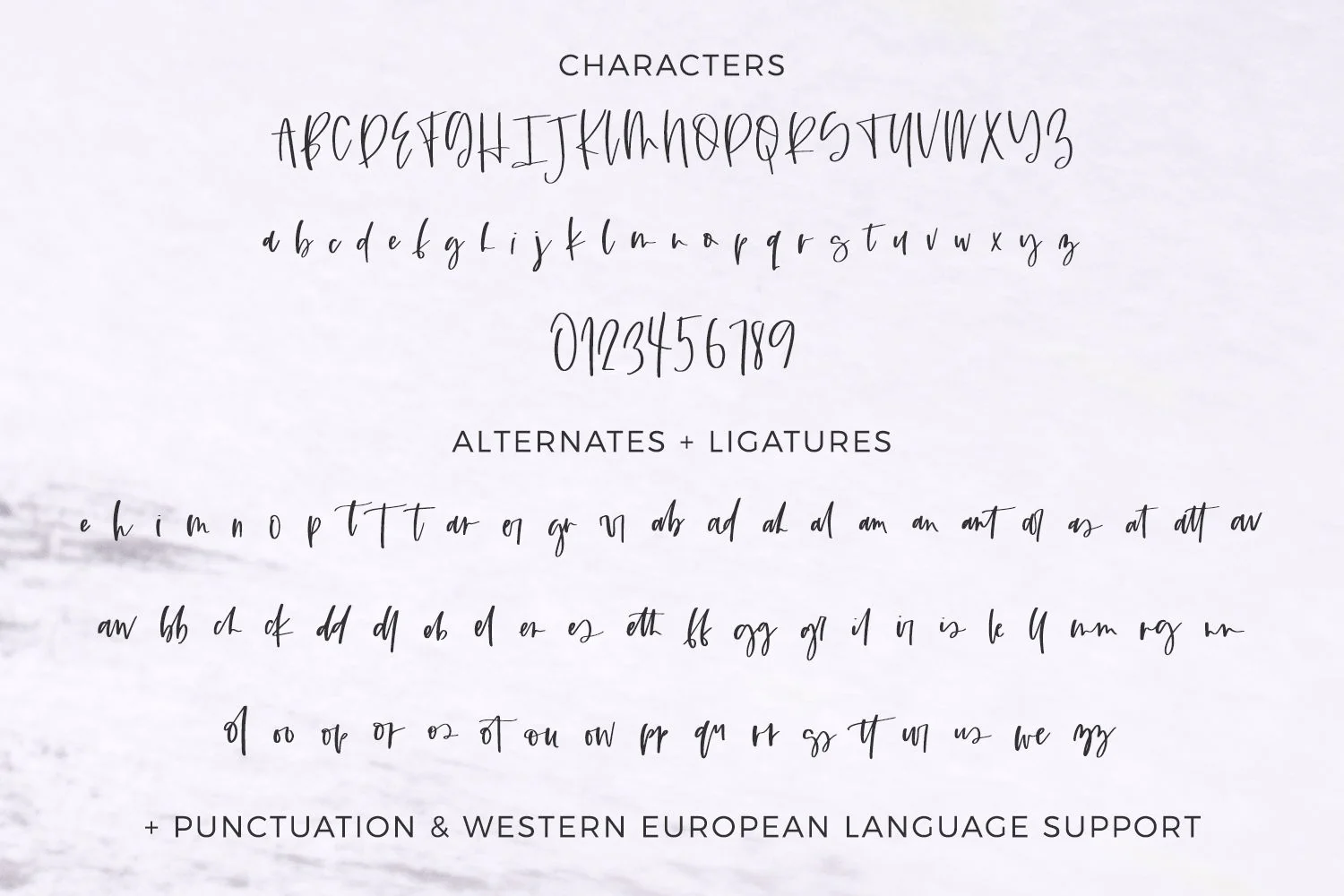 Duchess Script Font - Image 10