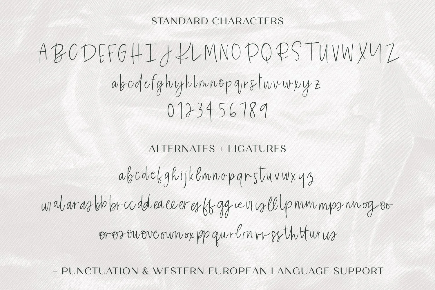 Eireann Signature Script Font - Image 10