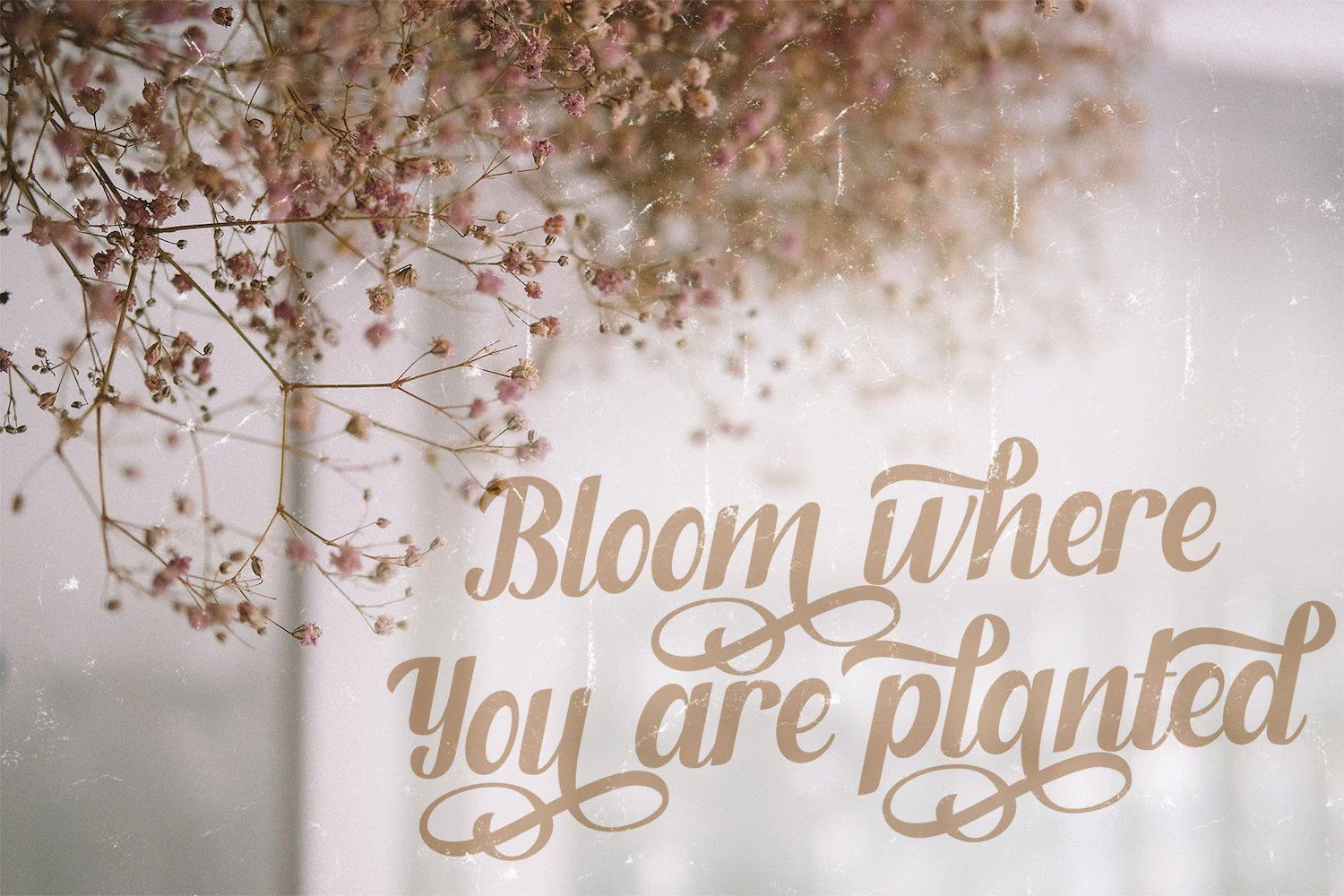 Fendysa - Beautiful Romantic Calligraphy Script Font - Image 9