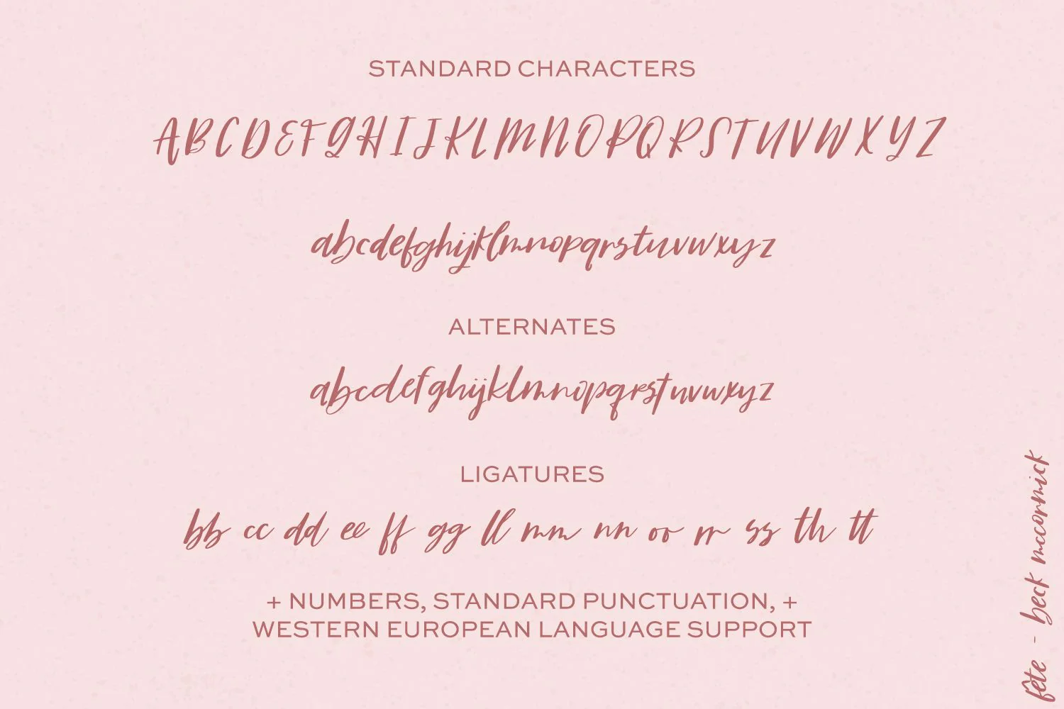 Fête Casual Script Font - Image 10