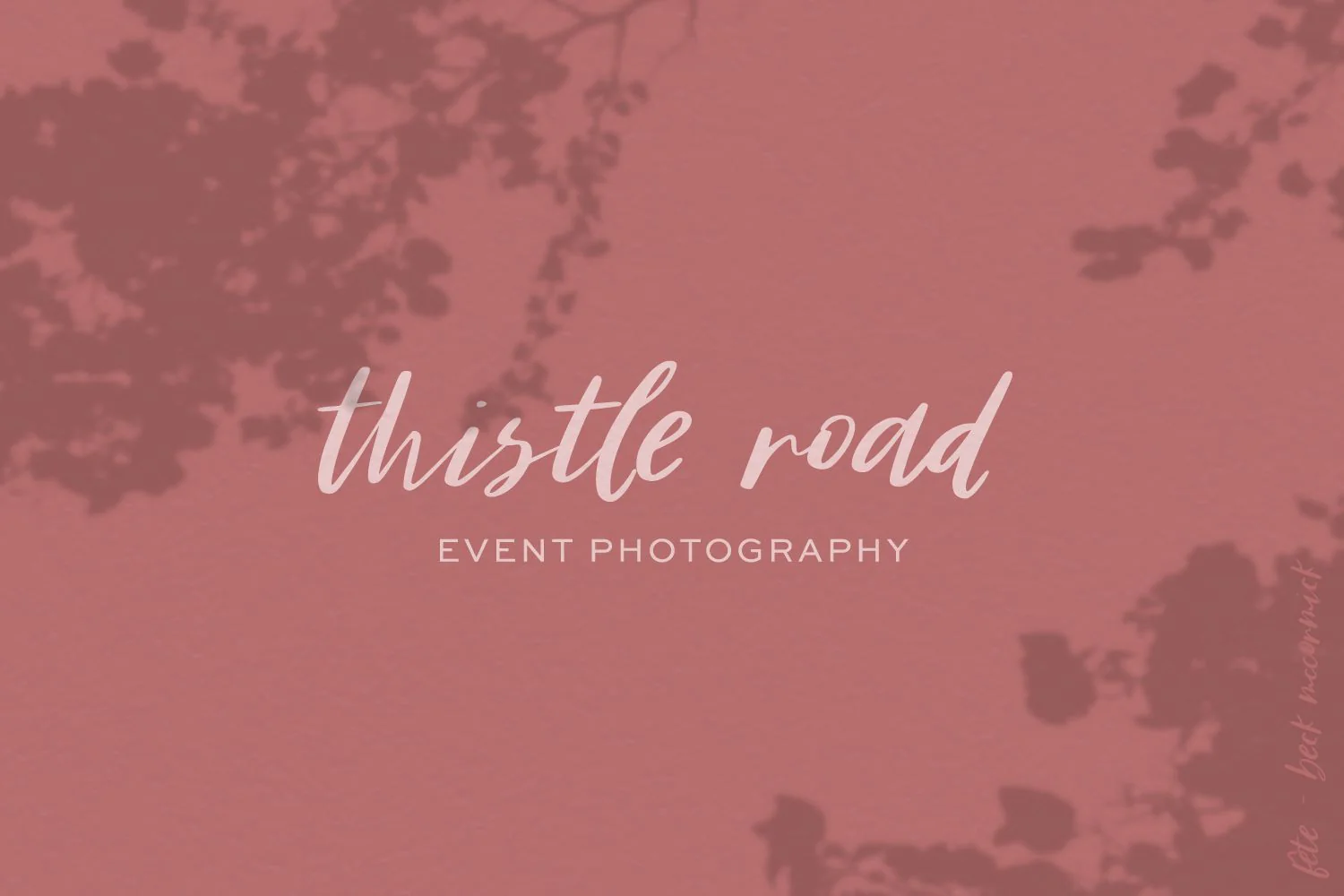 Fête Casual Script Font - Image 3