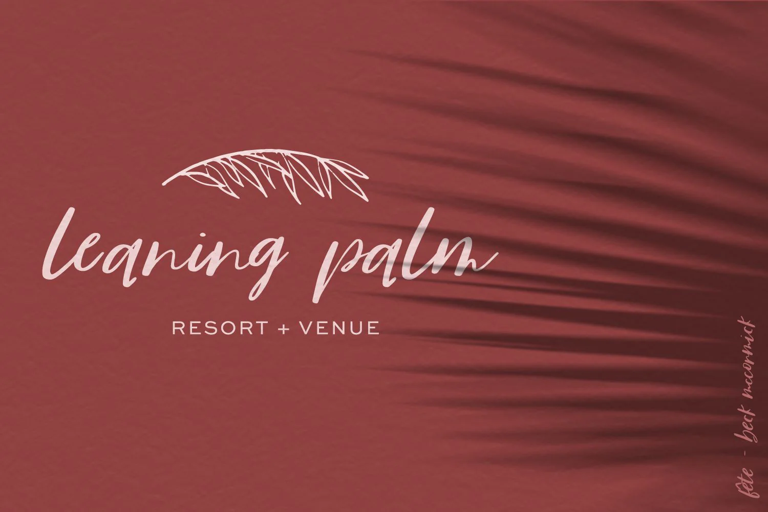 Fête Casual Script Font - Image 4
