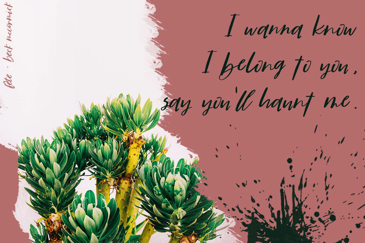 Fête Casual Script Font - Image 6