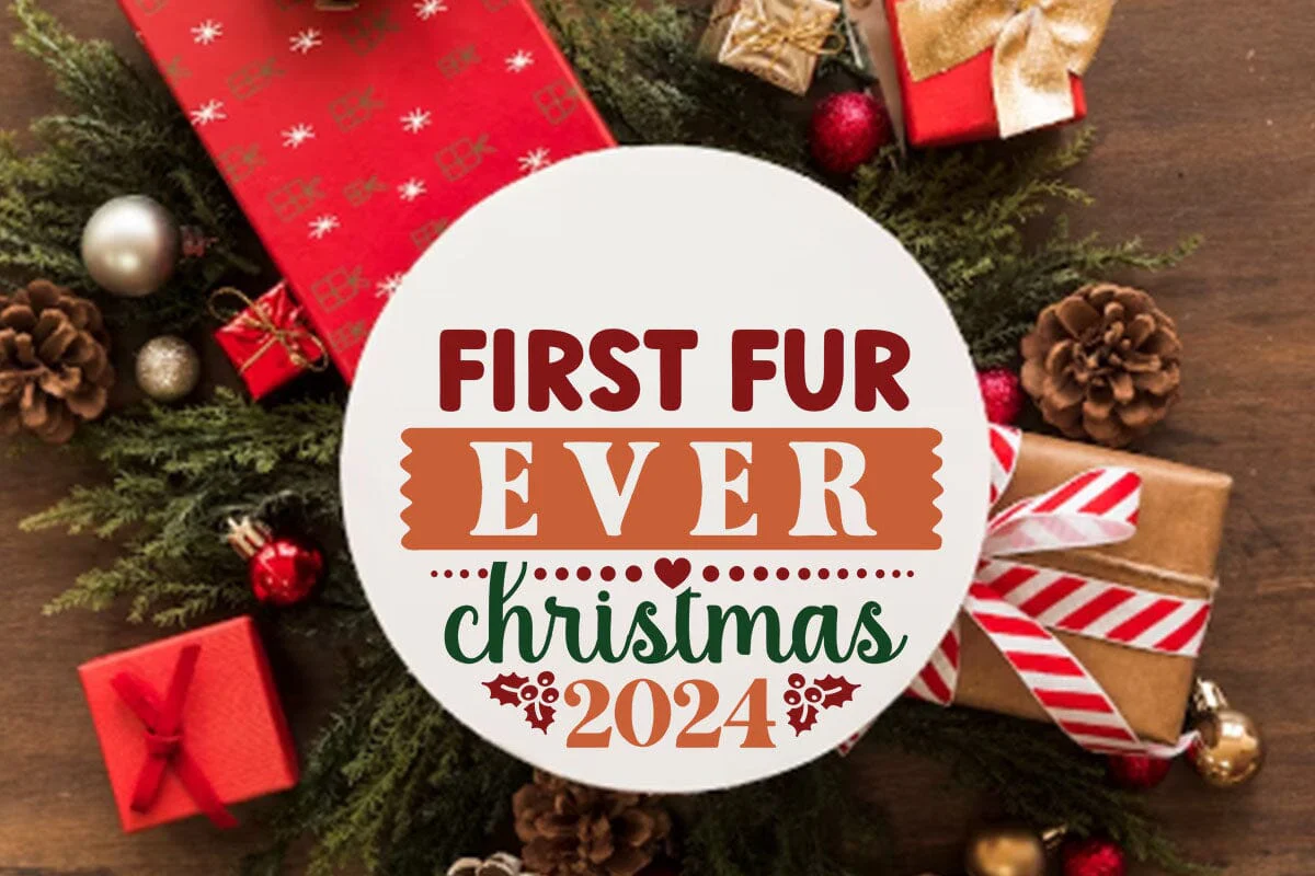 First fur ever christmas 2024 - Image 3