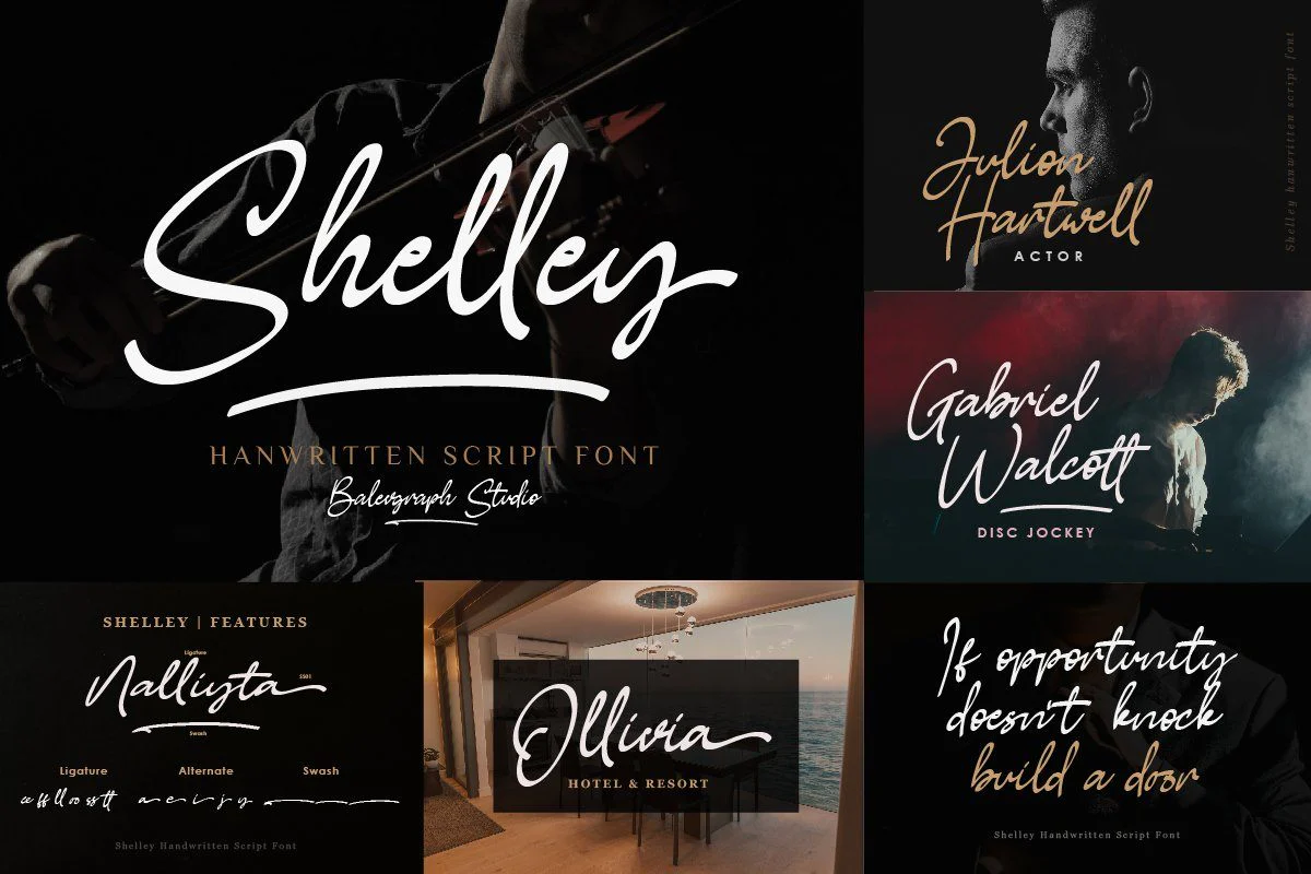 Font Bundle - Handwritten Script Font - Image 4