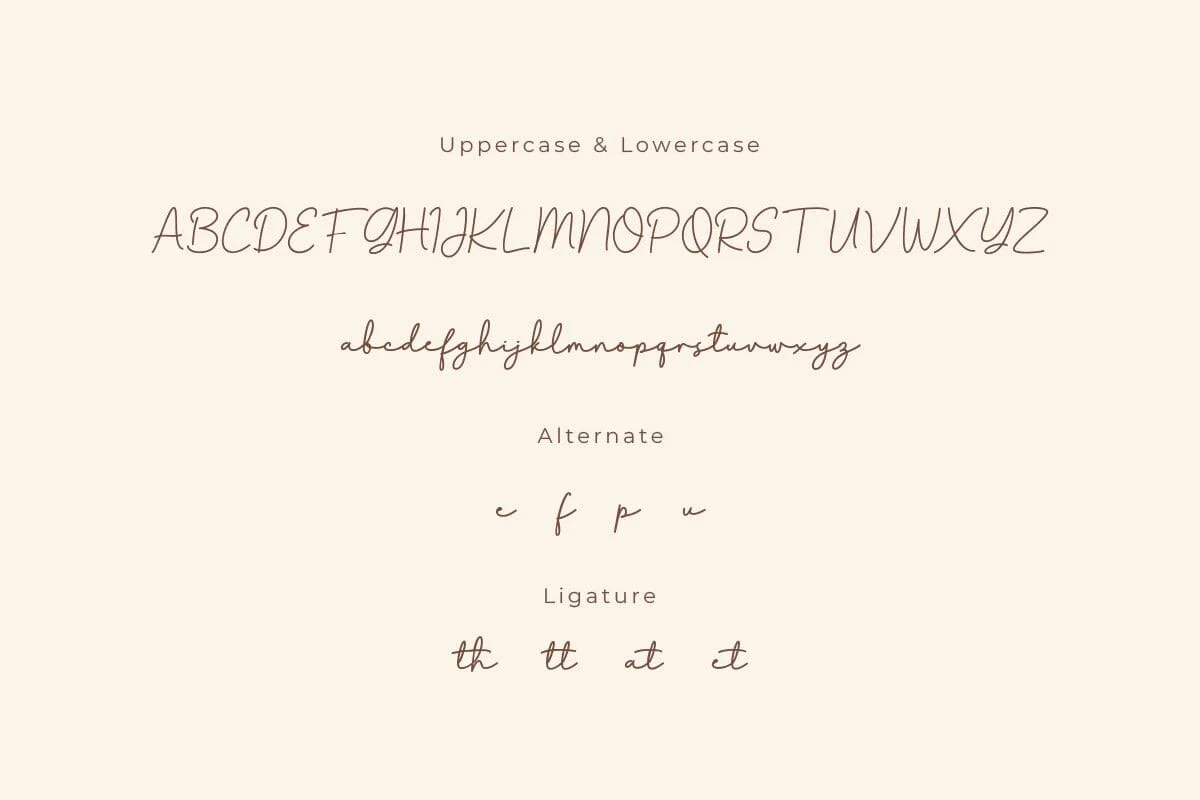 Gage Paraniy - Script Monoline Font - Image 7