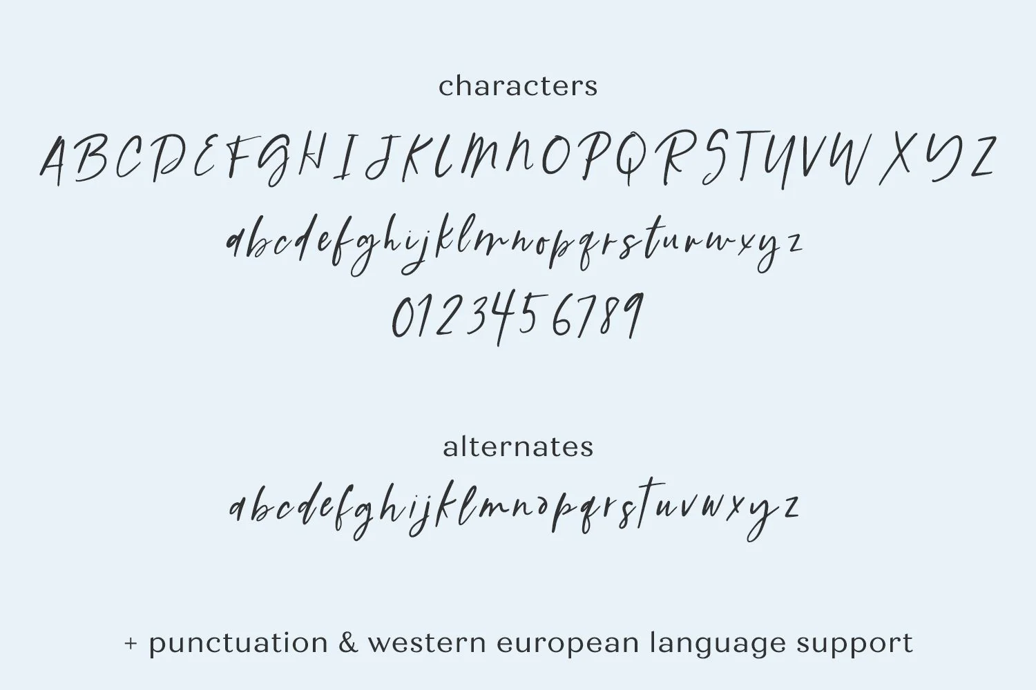Generally Script - Image 10