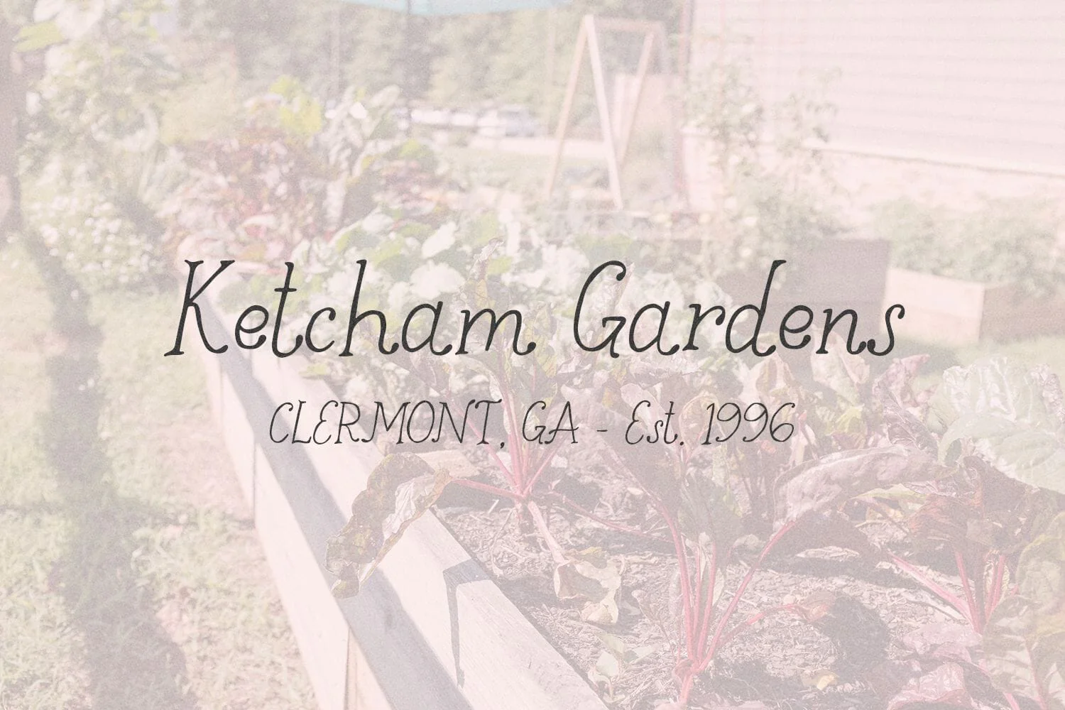 Goldenroot Serif Font - Image 5