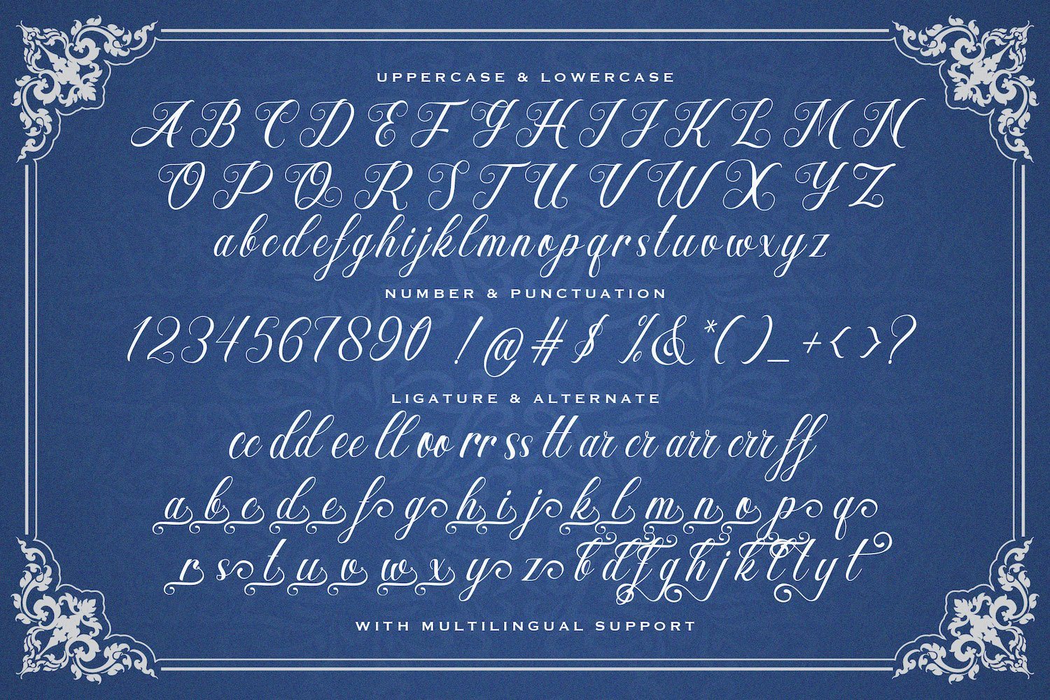 Hesty Aqaky - Modern Script Font - Image 9