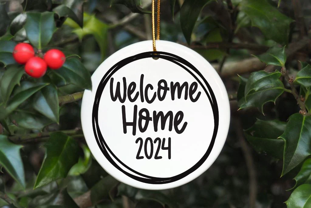Holiday Ornament Set 2024 + Bonus Frames - Image 3